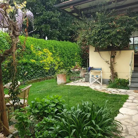 L'acero