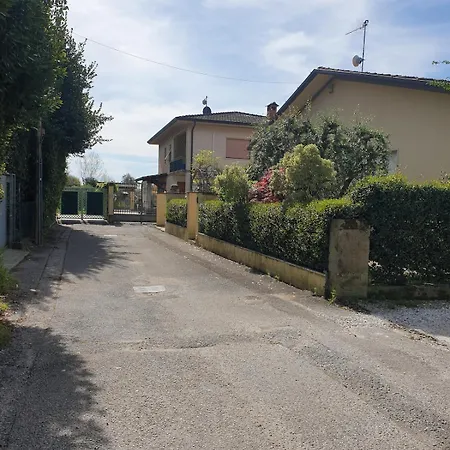 L'acero *